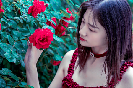 今起正式启用！“网络身份证”来了，你申领了吗？